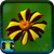 Beautiful Flower HD Wallpaper icon