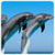 HD Dolphin Live Wallpapers icon