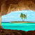 Island With Palm Tree Live Wallpaper icon