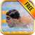 How to Swim - Swimming Lessons Technique and Tips icon