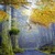 Forest Sun Live Wallpaper icon