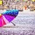 Snowy Umbrella Live Wallpaper icon