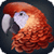Parrot Phrasebook Simulator icon