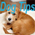 Dog Tips icon