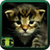 Free Wallpaper Cats Kittens icon