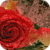 Shiny Red Rose LWP icon