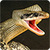 Anaconda Rampage: Giant Snake Attack icon