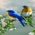 Birds Watching Live wallpaper icon