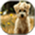 Puppy Wallpaper Images icon