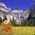 Pretty Yosemite National Park Live Wallpaper icon