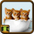 Free Download Cat Wallpaper icon