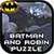 Batman and Robin Puzzle icon