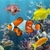 Fish Aquarium HD icon