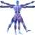Human Body Facts V1 icon