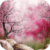 Flowing Sakura Live Wallpaper icon
