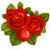 Flower Pictures HD icon