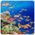 HD Underwater Live Wallpaper icon