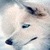 White Wolf Live Wallpaper icon