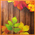 Autumn Time icon