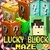 Lucky Block Maze - Survival indivisible icon