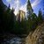 WONDERFUL MOUNTAIN FOREST WALLPAPER icon