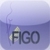 FIGO Staging icon