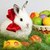 Easter Bunny Live icon