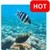 Aquatic HD Wallpaper - Movable app for free