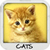 Cats Wallpapers free icon