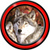 Top Wolf Live Wallpapers icon