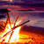 Fire on the Beach LWP icon
