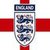 England National Team Live Wallpaper icon
