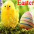 Free Easter SMS icon