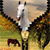 Horses Zipper Lock Screen Best icon