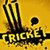  Score Cricket icon