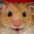 Rationalization Hamster icon