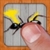 Ant Smasher Game - Best, Cool & Fun Games! icon
