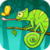 Chameleon: Catch The Fly icon