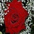 Beautiful Red Rose Live Wallpaper icon