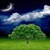 Night Tree Live Wallpaper icon