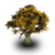 Tree Wallpapers app icon