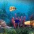 Aquarium Fishes LWP icon