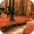 Autumn 3D Live Wallpaper Parallax icon