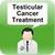 Testicular Cancer Treatment icon