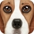 Ultimate Dog Simulator app for free