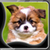 Sweet Puppies Live Wallpapers icon