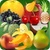 Fruit Astrology app for free