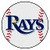 Tampa Bay Rays Fan icon