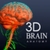 3D Brain MRI icon