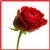 New Rose Flowers Onet Classic Game icon